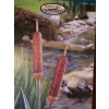 Image 2 : Naturally Solar Cattail/ Bullrush Garden Light Decor (New in Box) 