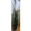 Image 4 : Display Pedestal 20x20x38 w/ Merchant Signs Faux Plants  & Decor 