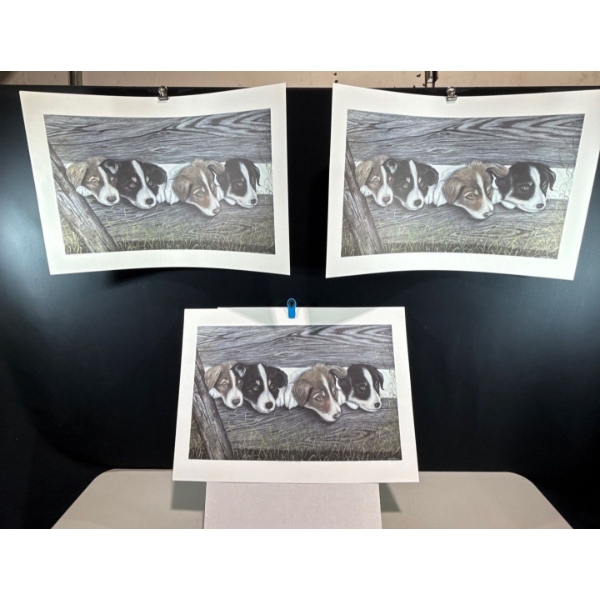 Alex Halliburton 3 Copies of Campbell River Collies 17.5Tx28.5W