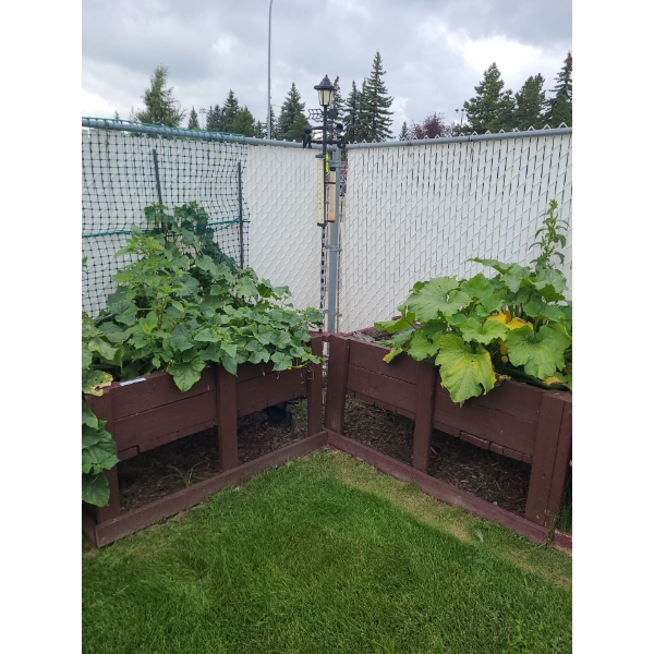 Weather Vane and Two Brown Wooden Outdoor Planter Boxes 52 w, 27 d, 27 h & 54 w, 28, d, 27 h