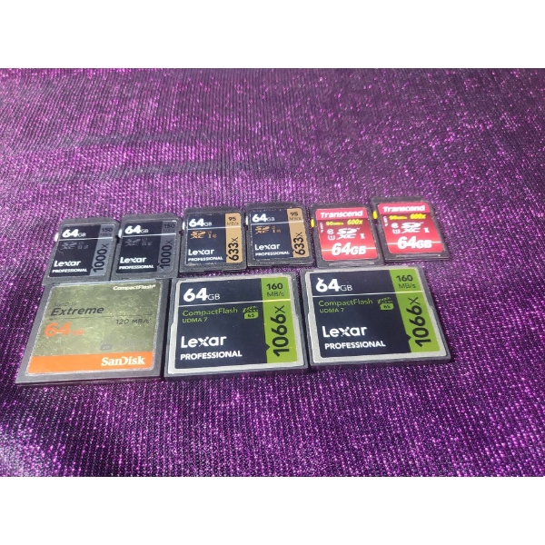 64 GB SD Cards 