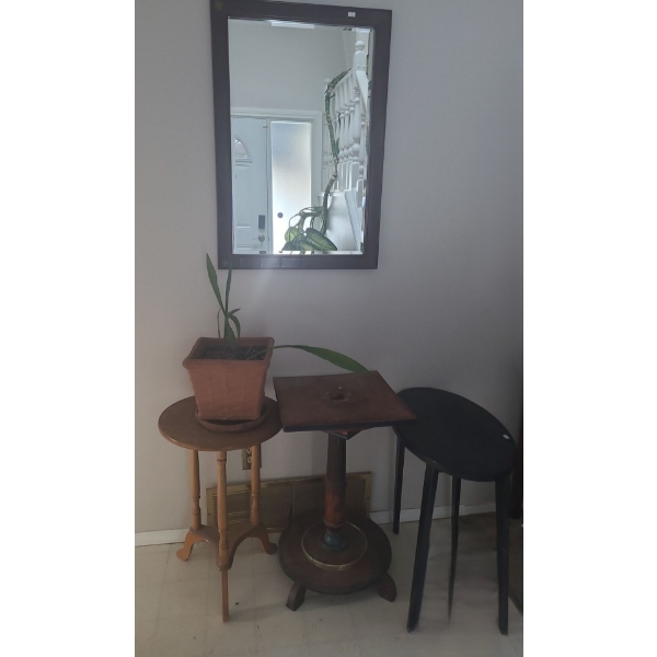 Tables- Oval Black: 23 W, 14 D, 23 T,  Mirror 22 X 31, Natural "Snake" Houseplant- Pot 10 X 10, 8 T