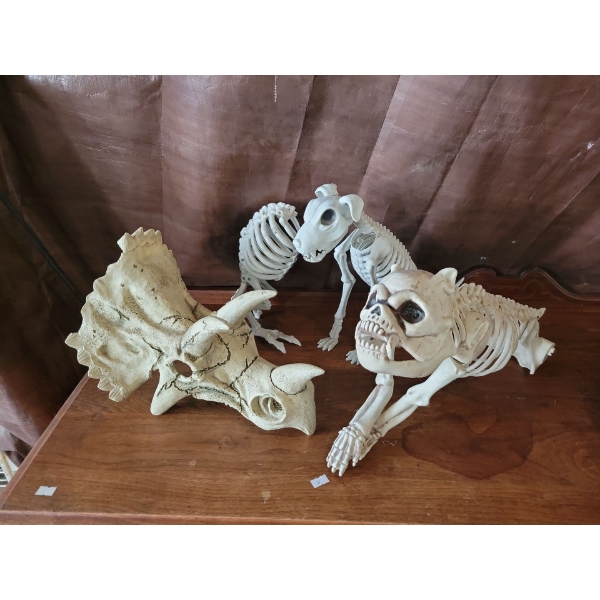 Skeletons for a Vet Clinic