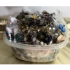 Image 1 : Costume Jewelry Lot in Plastic Bin