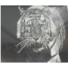 Image 10 : Numbered Prints 682/1968 "Pair Bond" 29.5 x 15.5,  219/500 "Dire" 20.5 x 16.5, Artist Owen Garratt