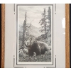 Image 9 : Glenn Korgaard Signed Limited Edition Wildlife Prints in Wooden Frames
