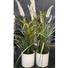 Image 3 : Beautiful Cut Crystal Kitchen Vessels w/ 2 Faux Fern House Plants 