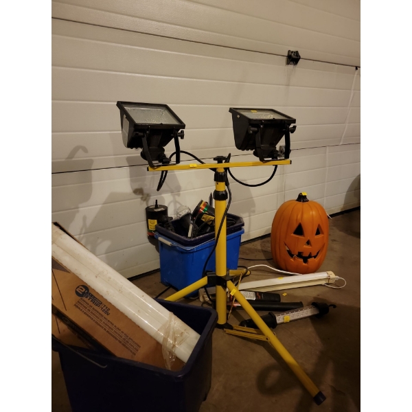 You Light Up My Life - Assorted Light Sources - Work Light LED Jackolantern 
