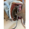 Image 5 : Antique cyclone seed thrower made in URBANA Indiana USA with a large wooden toolbox 