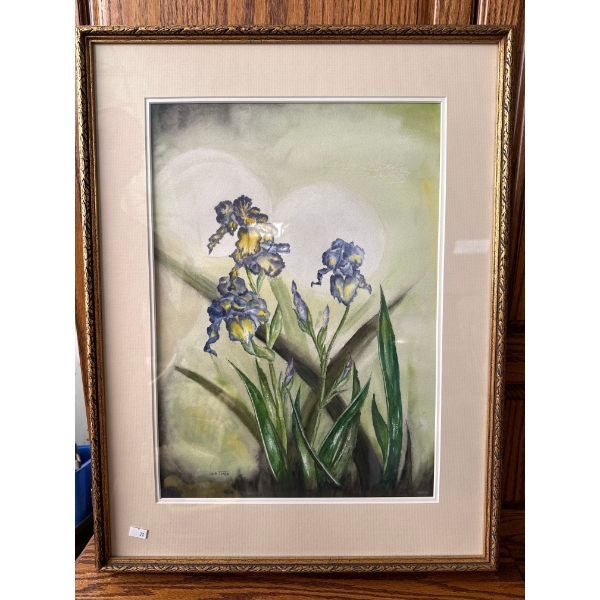 Irises Water color by Jack Tooth 21x27