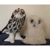 Image 1 : Indigenous Owls - Fur Owl Homan & Ceramic 8T