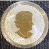 Image 2 :  2024 Celebrate Love $20 Fine Silver Gold Plating Coin