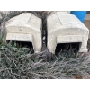 Image 2 : Two Large Outdoor Dog Houses