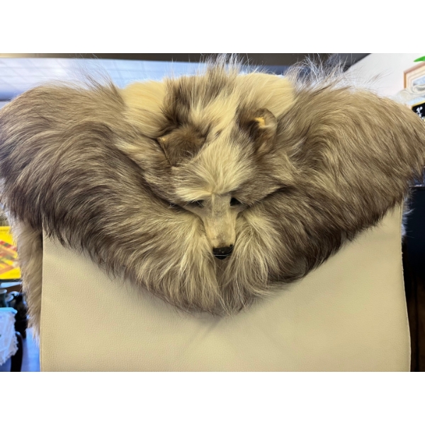 Historic Drumheller Fox Fur Shawl– Winnifred Hooker Collection Originating from the early 1900s, 