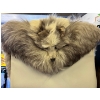 Image 1 : Historic Drumheller Fox Fur Shawl– Winnifred Hooker Collection Originating from the early 1900s, 