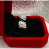 Image 2 : 4ct Round Moissanite in Center with 48 Round Cubic Zirconia in Square Halo in 925 Silver Earrings