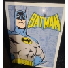 Image 3 : Dark Knight Canvas Print 28 X 22, Metal Batman Sign 12.5 X 16, Framed Drawings 11 X 17 and 14 X 11 