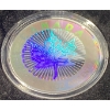 Image 4 : 2003 Silver Maple Leaf Hologram Fine Silver Set
