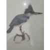 Image 2 : Bird Print 16 X 20 by Sobrepena Framed Under Glass 