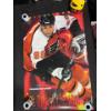 Image 3 : Hockey Posters Collection 