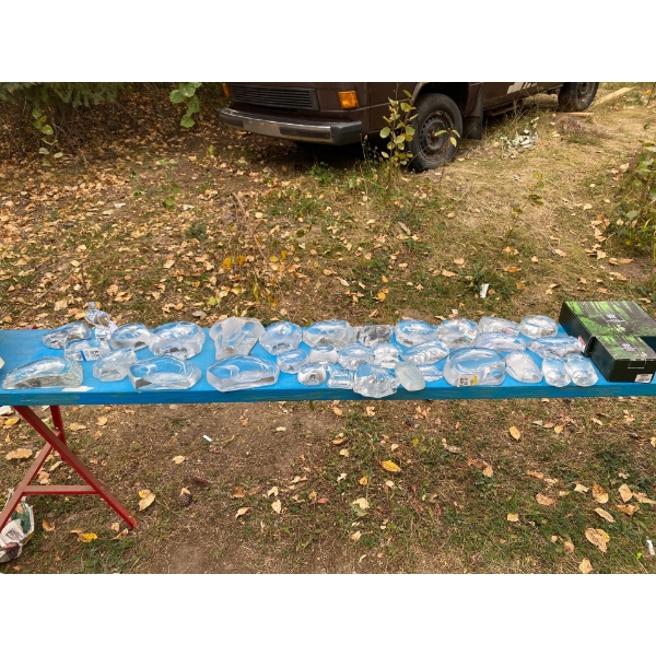 Animal Paper Weights