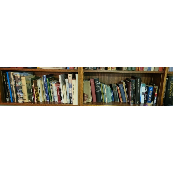 2 Shelves Worth of Assorted Books 