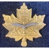Image 1 : Cadet Instructors Cadre Branch Badge from the Canadian Armed Forces