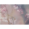 Image 2 : Lg Blossoms, Morning Mist Oil on Canvas Painting by D. J. Putman 36 w 26 h