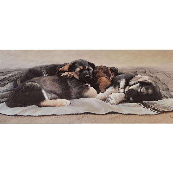 "Sweet Dreams" Framed Print by Adeline Halvorson 31x18 in.