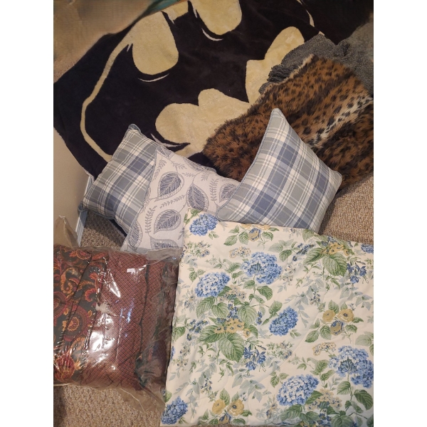 Bedding,  Decorator Pillows, Batman Blanket and More!