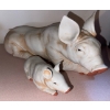 Image 4 : Boars Galore !! Decorative Pig Figurines & More 12L