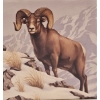 Image 4 : 2014 $100 for $100 Rocky Mountain Bighorn Sheep - 99.9% Fine Silver Coin - #2