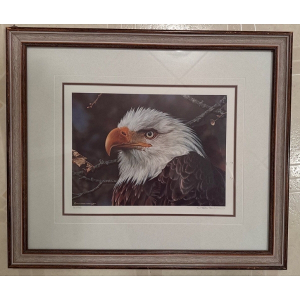 Carl Brenders Eagle Print 21 x 18 767/1950
