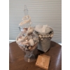 Image 1 : Coastal-Inspired Lot With Glass Jar, Decorative Shells, Necklaces, and Starfish