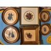 Image 1 : Antique collection of embroidered small framed pictures all in beautiful wood frames .