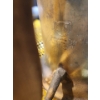 Image 5 : Metal Milk Can and Vintage Blow Torch