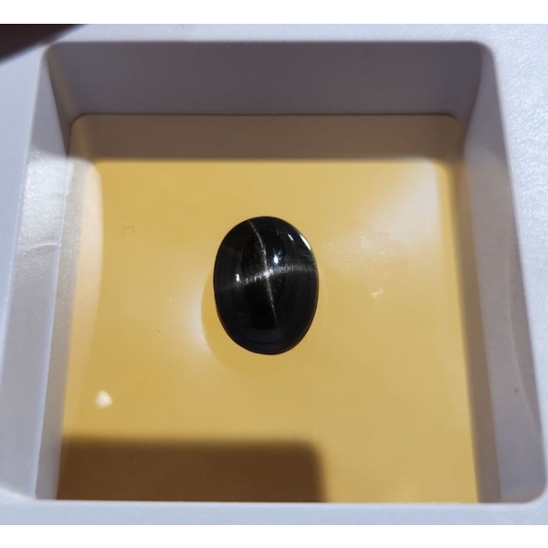 6.85 Carat Star Diopside- Authentic with Certificate ( Estimated Value $150)