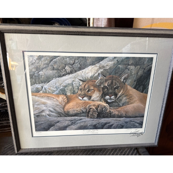Kerry Burnett - 'Afternoon Light Young Cougars' - Limited Edition Framed Print 