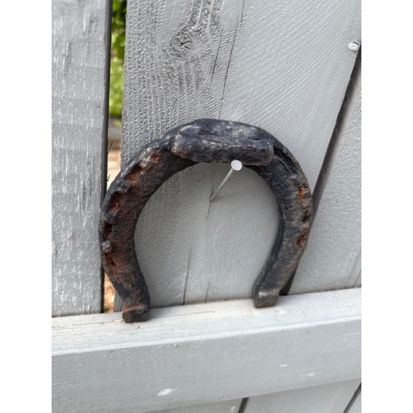 Assorted Garden Decor, Metal Geese, Whatever you can Remove (Hornet Nest Around 1Pc), As Pictured  