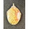 Image 1 : Fossil Coral Pendant