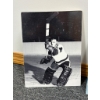 Image 8 : Hockey Memorabilia Featuring Gordie Howe and Steve Yzerman