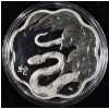 Image 1 : 2013 $15 Lunar Lotus Year of the Snake - 99.9% Fine Silver Coin 