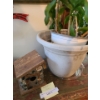 Image 1 : Pinewood Cottage Birdhouse 5 1/2 w, 7 h, 5 1/2 d.  Also includes Night Blooming Cactus 14 d, 10 h