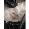 Image 2 : Feathers, Wool, Deer/Moose Hide, and Cushions