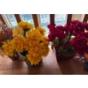 Image 2 : Large Home Decor Collection - Artificial Flowers, Vases, & More 