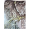 Image 1 : Framed and Signed Print " At the Cliff - Bobcat "