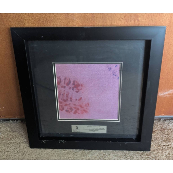 Black-Framed Art With Glenrose Rehabilitation Hospital Foundation Plate
