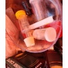 Image 8 : Wine Making Supplies Incl: Wine Corker, Glass Jugs, Corks and More!