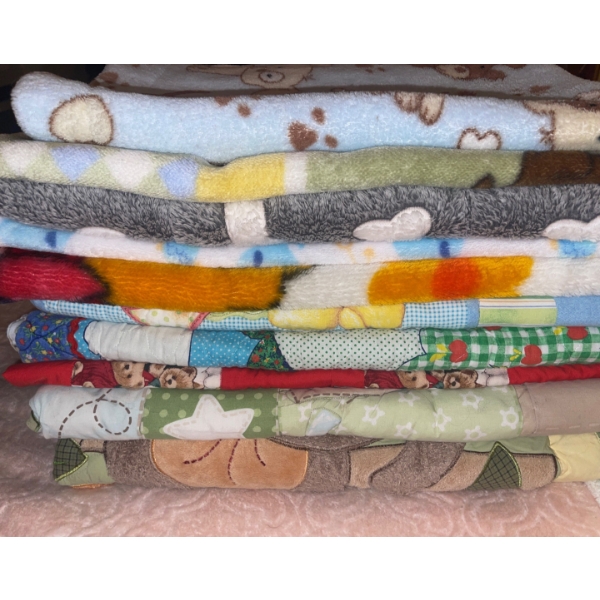 Assorted Puppy Quilts & Super Soft Blankets
