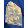 Image 1 : Large Fern Fossil